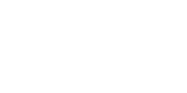 넷엔터테인먼트 logo