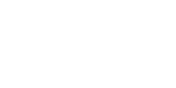 플레이텍 logo